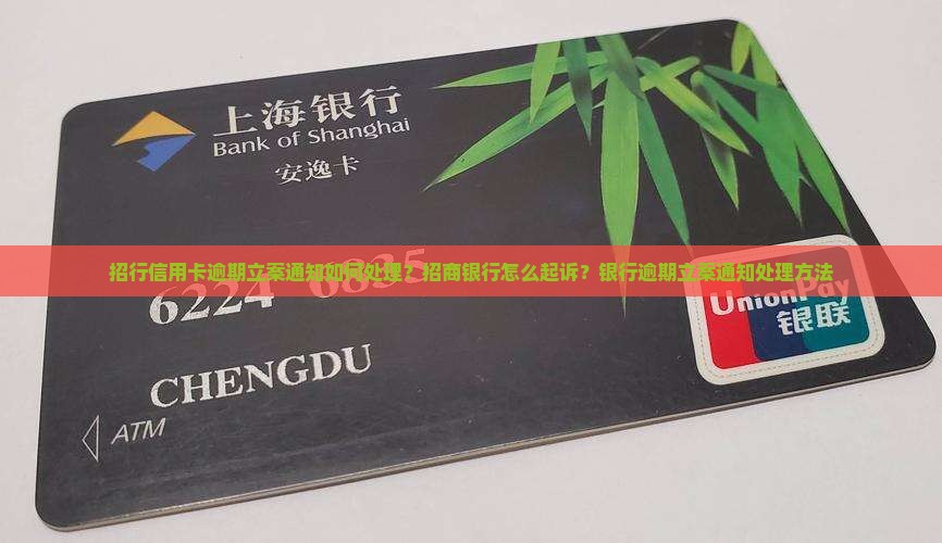 招行信用卡逾期立案通知该如何处理