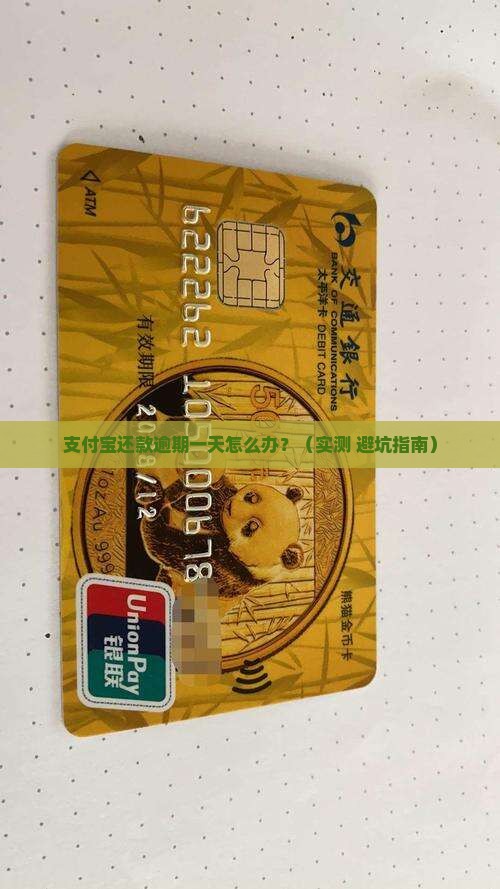 支付宝还款逾期一天怎么办