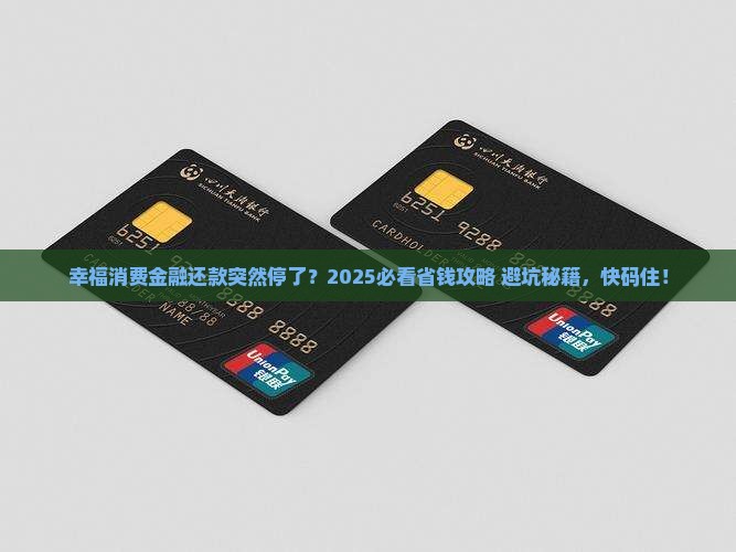 幸福消费金融暂停还款怎么办