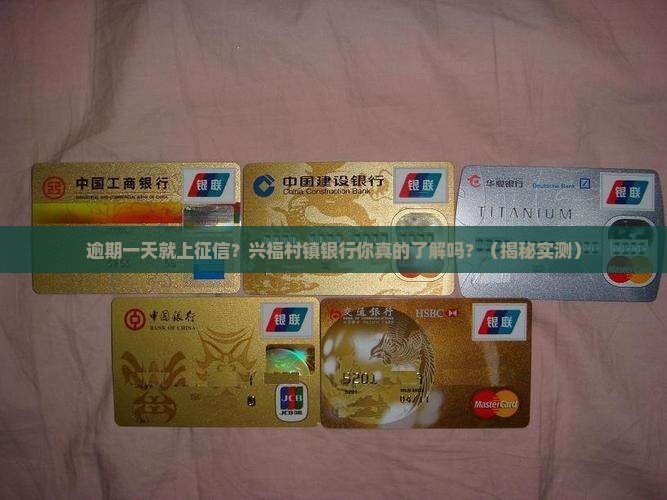 兴福村镇银行逾期一天
