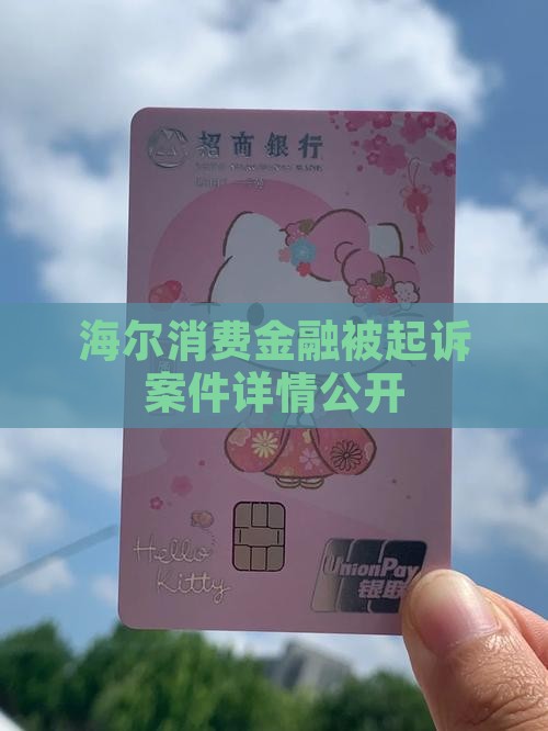 海尔消费金融起诉案件详情公开