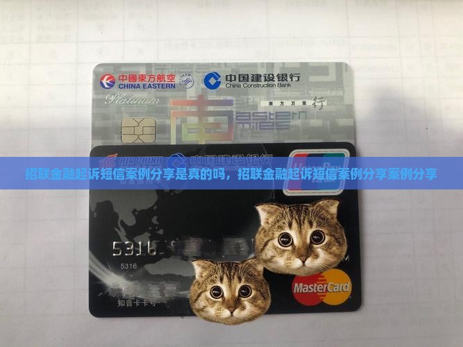 招联金融起诉短信案例分享