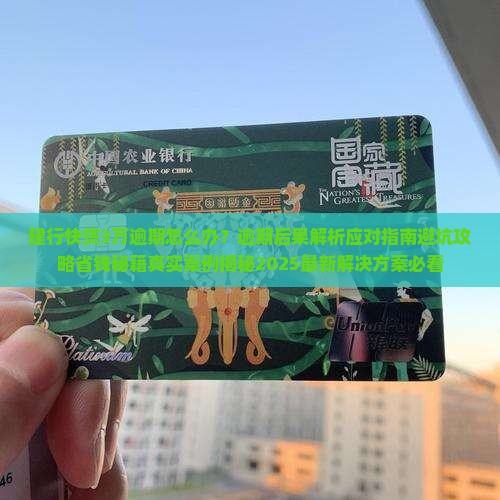 建行快贷3万逾期怎么办