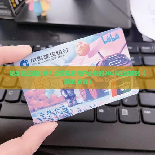 众安花豹逾期后可以分期吗