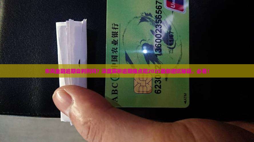东风金融逾期会判刑吗