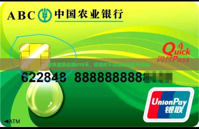 京东金条逾期498天会怎样
