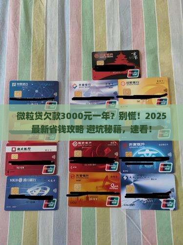 微粒贷欠款3000元一年要怎么处理