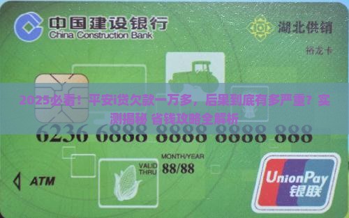 平安i贷欠款一万多会有什么后果