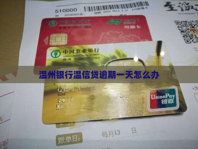 温州银行温信贷逾期一天怎么办 温州银行温信贷逾期一天怎么办