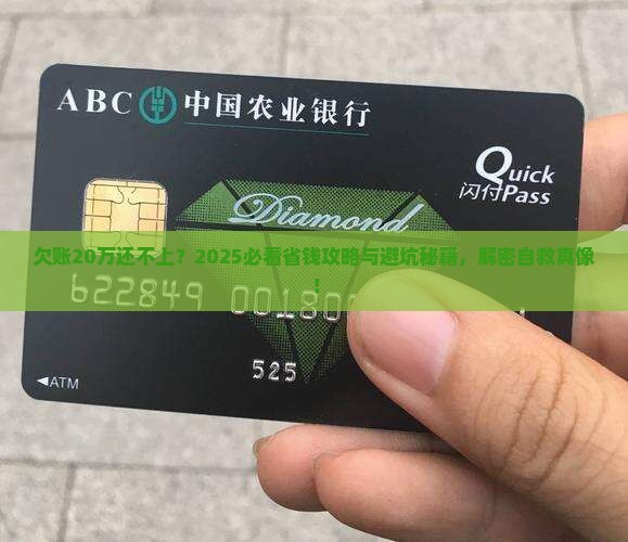 欠账20万还不上怎么办