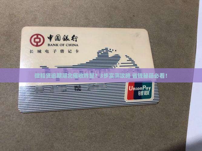 微粒贷逾期湖北催收如何处理