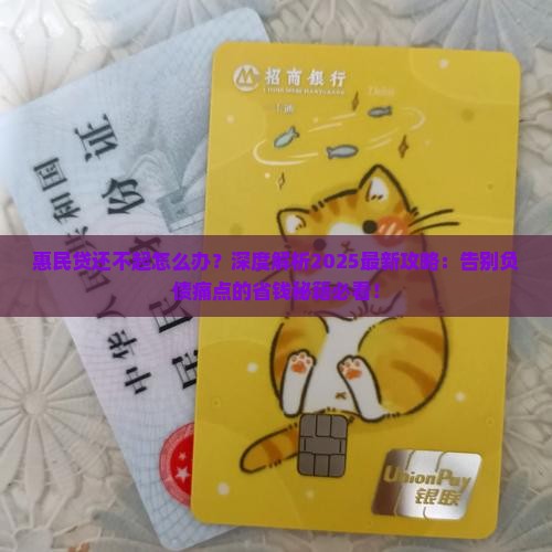 惠民贷还不起如何处理