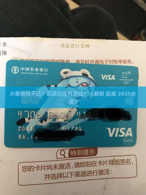 小象钱包不还会有什么后果