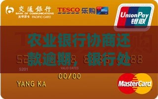 农业银行协商