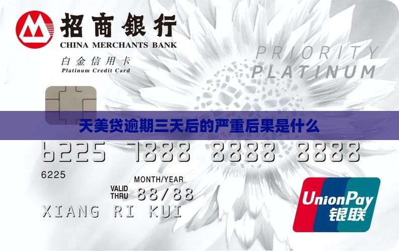 天美贷逾期三天后的后果是什么