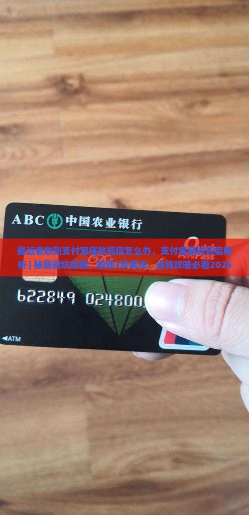 最近老收到支付宝催收短信怎么办 最近老收到支付宝催收短信怎么办