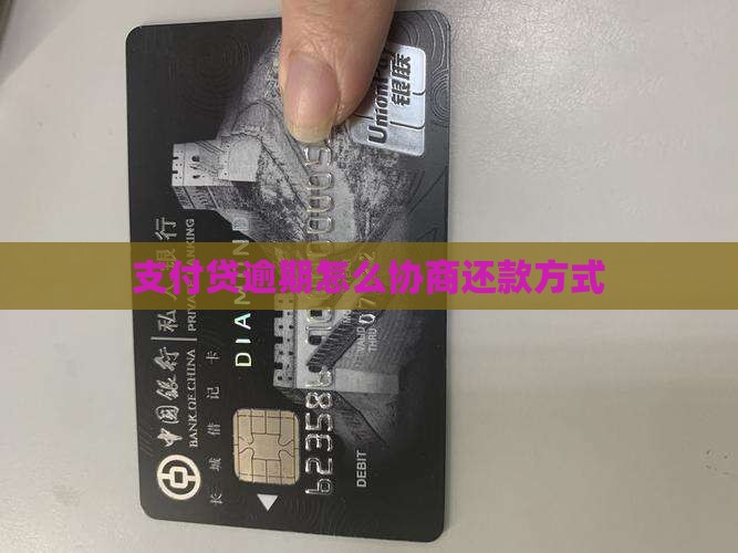 支付贷怎么协商还款方式