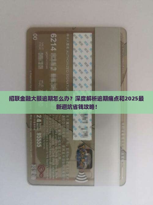 招联金融大额逾期应对方法