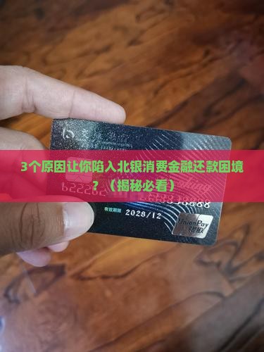 北银消费金融公司无力还款的原因及应对措施