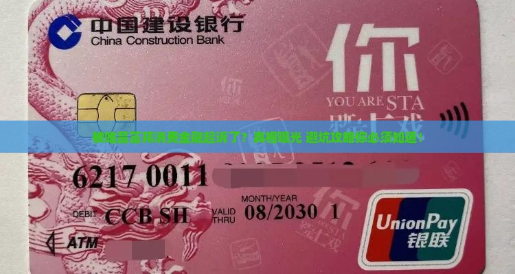 唯品富邦消费金融起诉流程是什么