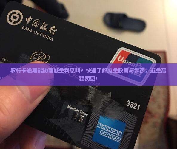 农行卡逾期能协商减免利息吗