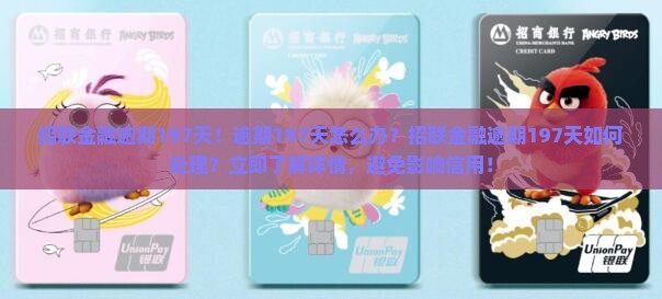 招联金融逾期197天