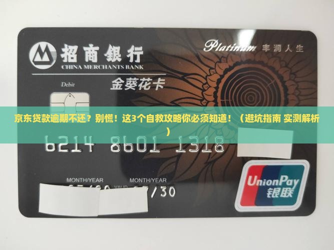 京东贷款逾期不还怎么办