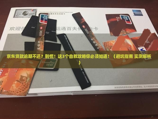 京东贷款逾期不还怎么办