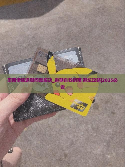 美团借钱逾期问题解决