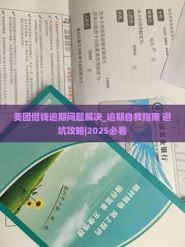 美团借钱逾期问题解决