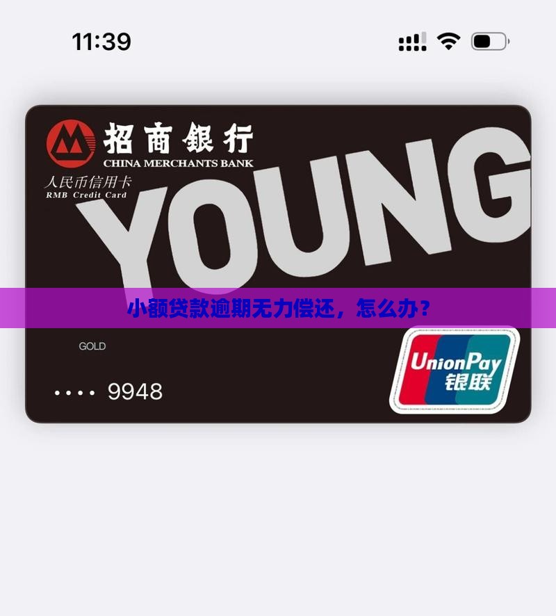 小额贷款逾期无力偿还怎么办