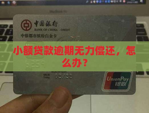 小额贷款逾期无力偿还怎么办