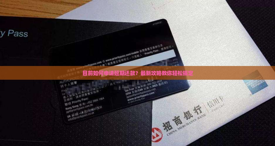 目前如何申请延期还款