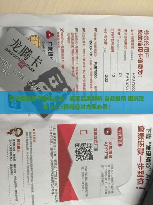 好分期逾期不还怎么办