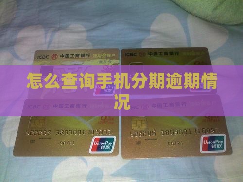 手机分期怎么看逾期情况