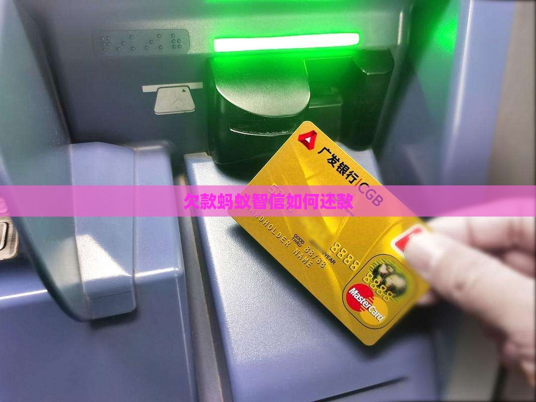 欠款蚂蚁智信如何还款