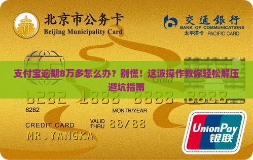 支付宝逾期8多万怎么办
