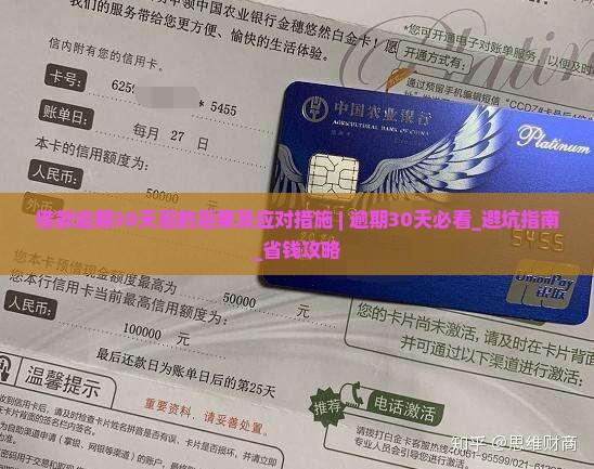 借款逾期30天后的后果及应对措施