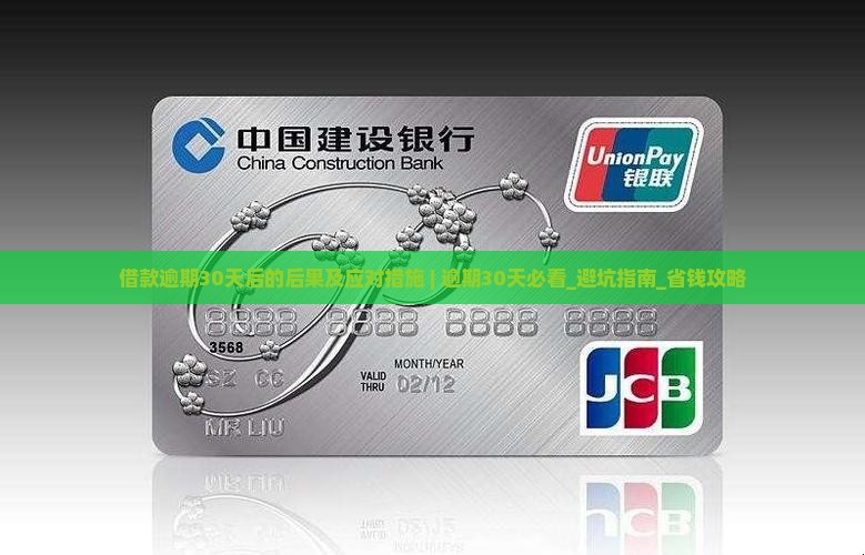 借款逾期30天后的后果及应对措施