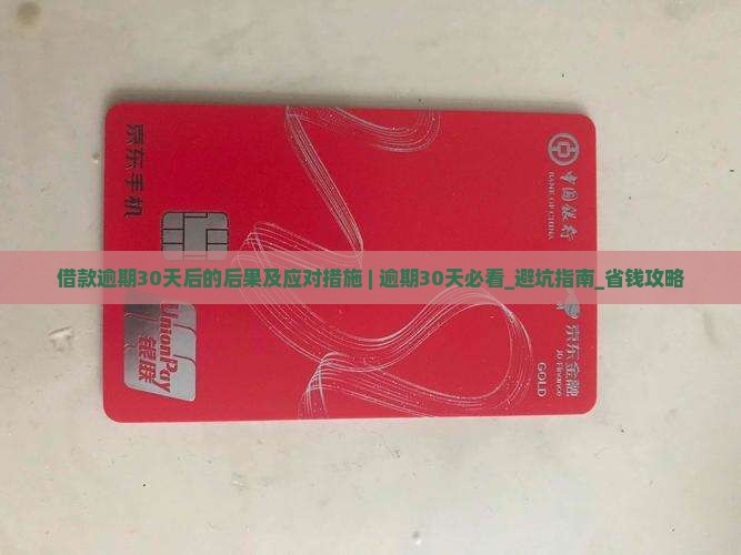 借款逾期30天后的后果及应对措施