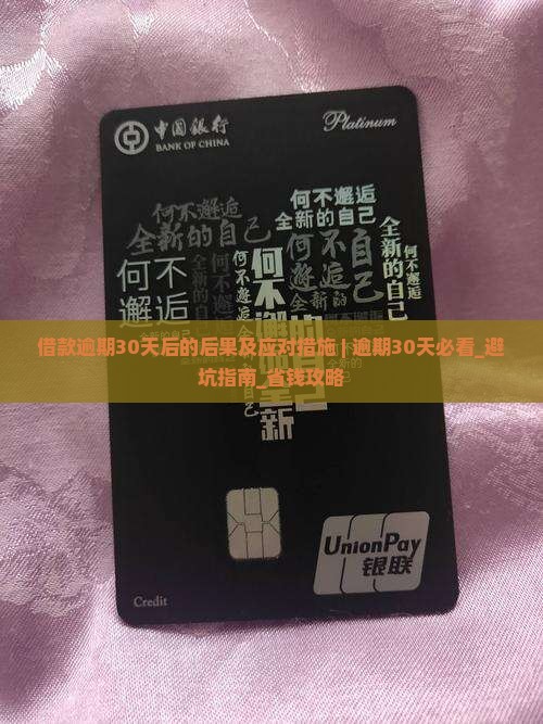 借款逾期30天后的后果及应对措施