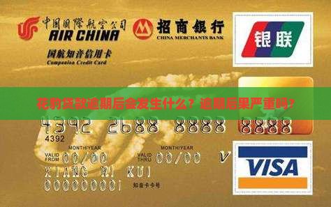 花豹贷款逾期后会发生什么