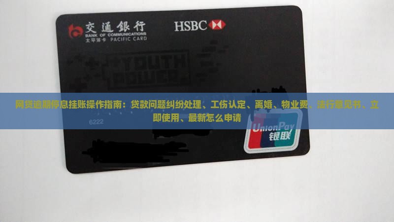 网贷逾期停息挂账操作指南