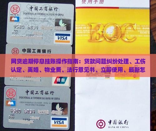 网贷逾期停息挂账操作指南
