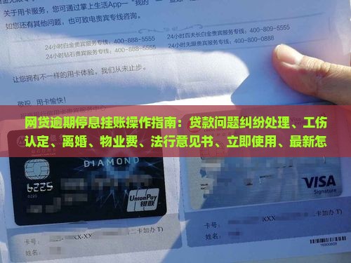 网贷逾期停息挂账操作指南