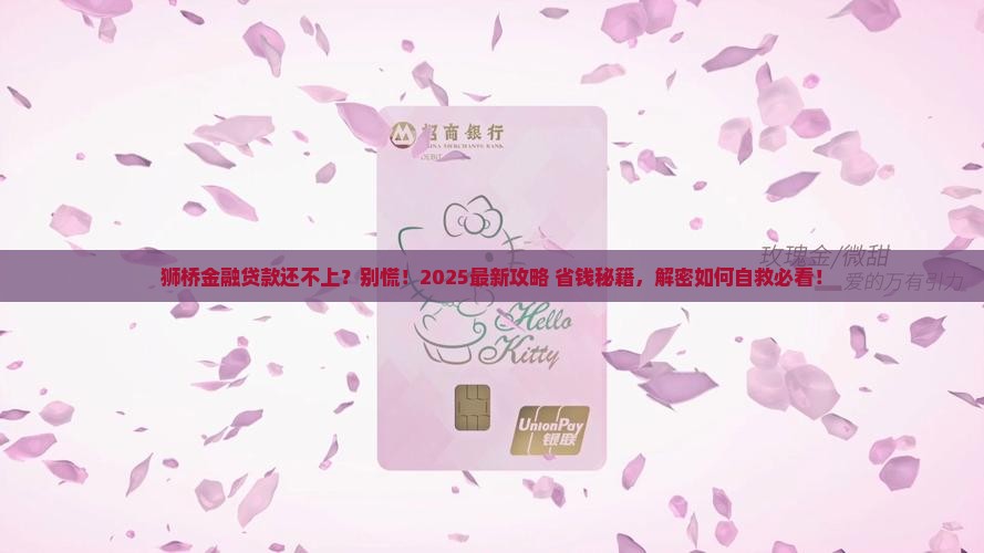 狮桥金融贷款还不上怎么办