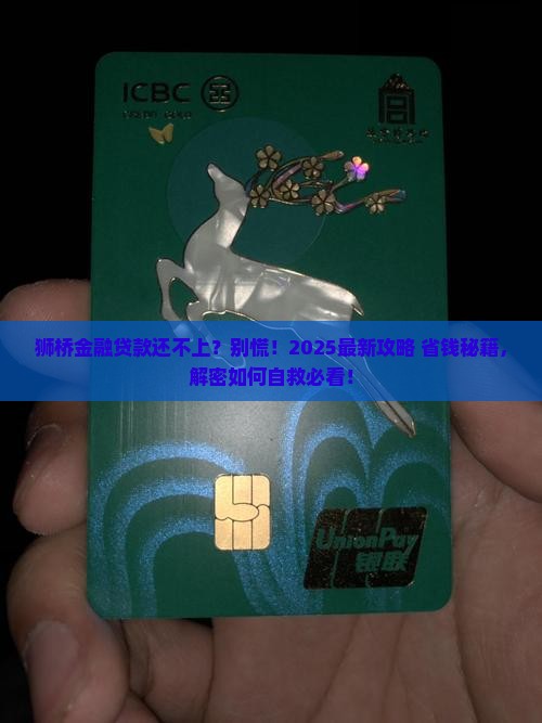 狮桥金融贷款还不上怎么办