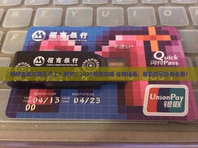 狮桥金融贷款还不上怎么办