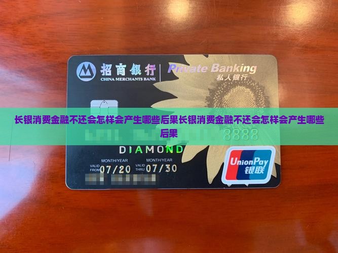 长银消费金融不还会怎样会产生哪些后果