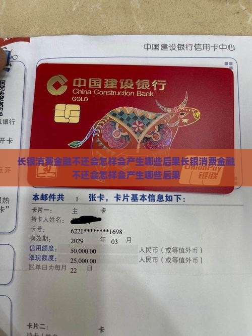长银消费金融不还会怎样会产生哪些后果